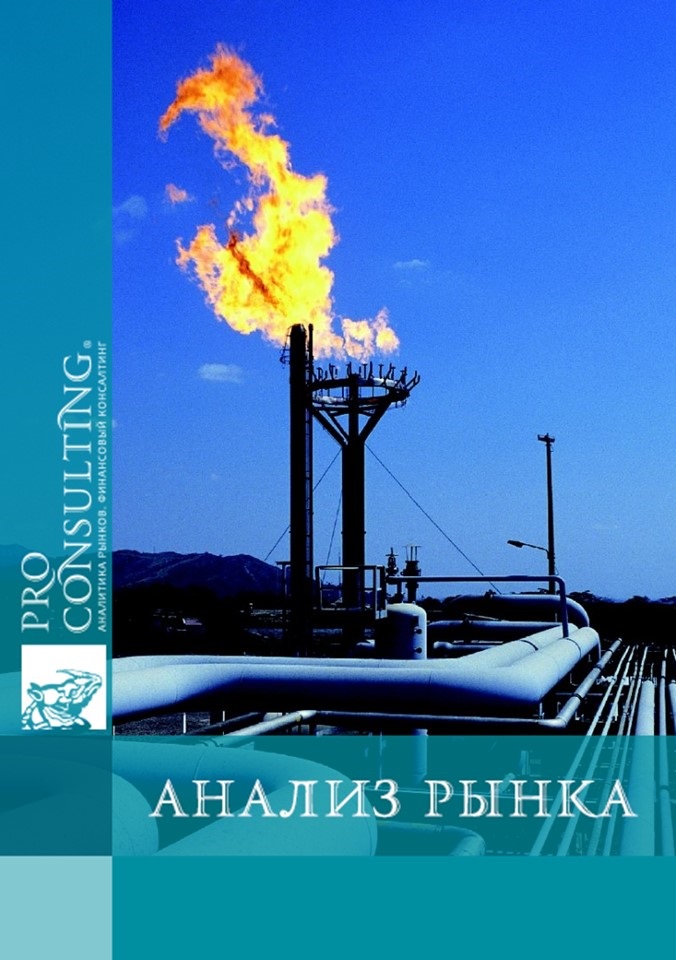 Анализ рынка добычи и переработки газа на малодебитных месторождениях Украины. 2010 год